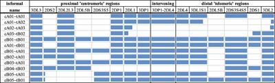 Efficient Sequencing, Assembly, and Annotation of Human KIR Haplotypes